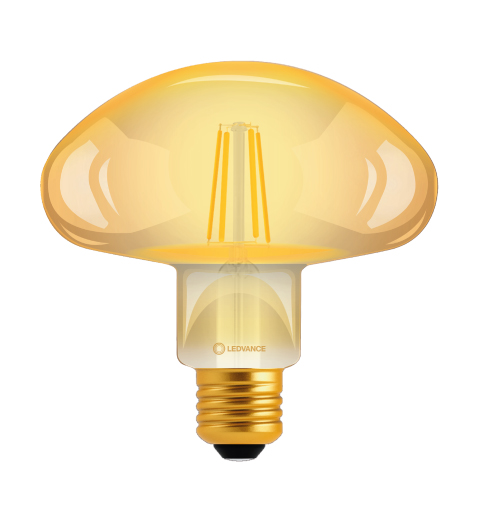 Vintage-Mushroom-Producto-Ledvance_2026